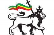 lion.png
