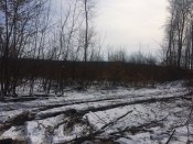 IMG_5645.JPG