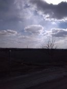 IMG_20210311_141243.jpg