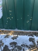 587E0795-561F-43F1-B7B0-579801BDEA77.jpeg