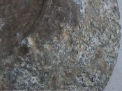 HPNX5850.JPG