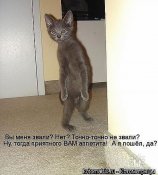 getImage (34).jpg