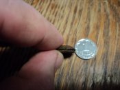 DSC07559.JPG