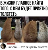 изображение_viber_2021-03-14_12-00-29.jpg