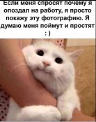 изображение_viber_2021-03-14_12-28-40.jpg