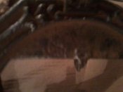 2013-04-20 00.29.14.jpg