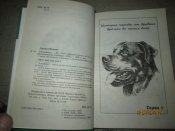 Ротвелер -собака для защиты