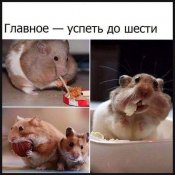 изображение_viber_2021-03-15_20-31-30.jpg