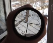 DSCN7572.JPG