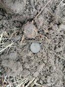 IMG_20210315_091838.jpg