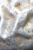 20210317_161858.jpg