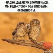 изображение_viber_2021-03-19_20-37-191.jpg