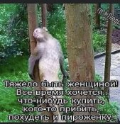 изображение_viber_2021-03-21_10-33-06.jpg