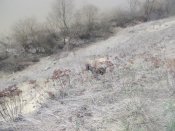 DSCN6058.JPG