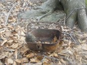 DSCN6122.JPG