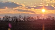 IMG_08.jpg