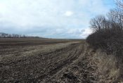DSCN7029.JPG
