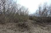 DSCN7030.JPG