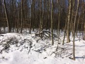 IMG_5709.JPG