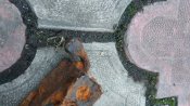 20210326_184222.jpg