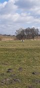 20210328_113803.jpg