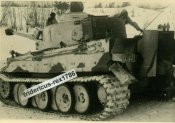 Wintertarn.jpg