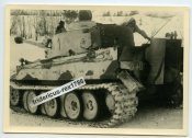 Wintertarn3.jpg