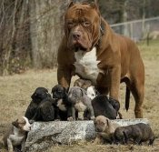 изображение_viber_2021-03-30_08-50-59.jpg