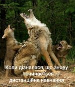 изображение_viber_2021-03-30_08-51-02.jpg