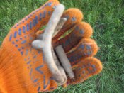 IMG_2391_thumb.jpg