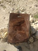 IMG_20210312_103803.jpg
