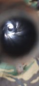 20210403_101915.jpg