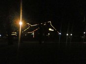 Фото(473).jpg