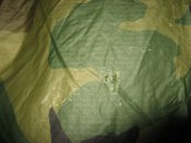 IMG_1268.jpg