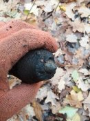 20201108_124042.jpg