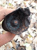 20201108_124047.jpg