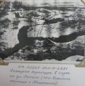 91617520_539193033670128_81540542525079552_n= нем транш на ленина=.jpg