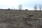 DSCN7444.JPG