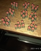 IMG_20210405_183043.jpg