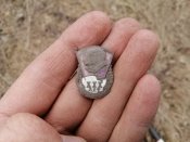 IMG_20210402_120830.jpg