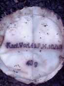 IMG0103A.jpg
