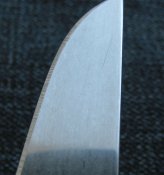 IMG_0169a.jpg