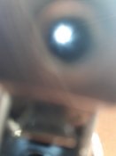 20210411_155632.jpg