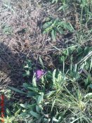DSC02909.JPG