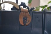 DSC_0401.JPG