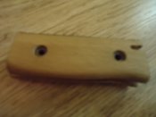 DSC03219.JPG