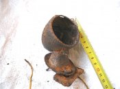 GEDC3688.JPG