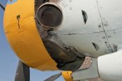 ju-52-3m_1z-ar_55_of_96.jpg