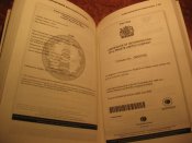 Диагноз власти Януковича