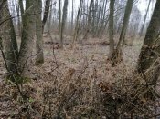 IMG_20210407_122614.jpg
